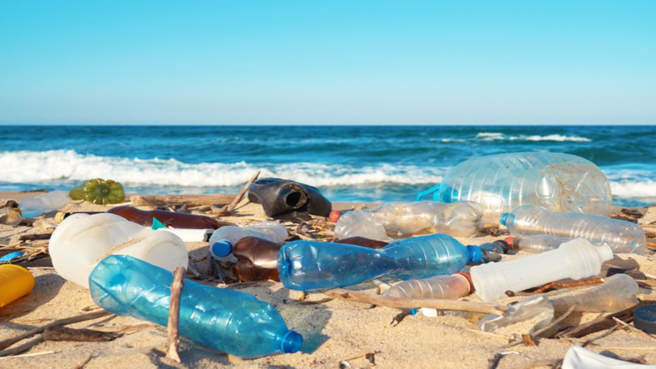 comment lutter contre la pollution plastique ?